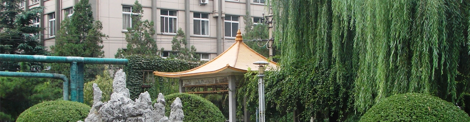 Культура компании